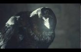 Game of Thrones: Three-Eyed Raven Teaser