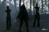 Michonne-Walking-Dead-season-2