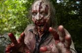 The-walking-dead-season-2-zombie