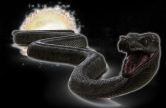 Titanoboa-primeval-new-world