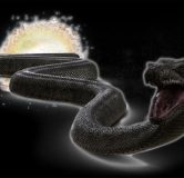 Titanoboa-primeval-new-world