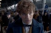 fantastic-beasts