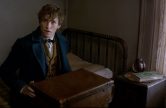 Fantastic Beasts and Where to Find Them – First Trailer