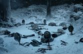 game of thrones 101 winter is coming (1)