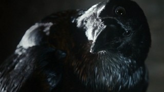 game of thrones 104 (1)