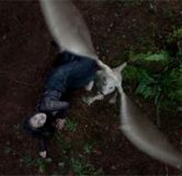 merlin-aithusa-morgana