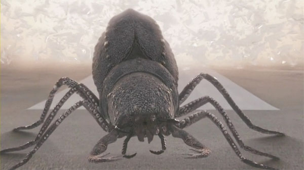 primeval-new-world-103-queen-beetle