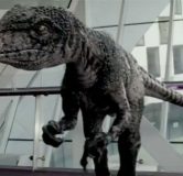 primeval-series-5-raptor