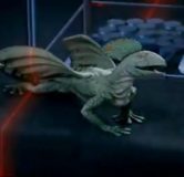 rex primeval 4