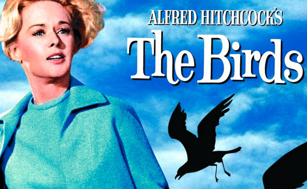 the-birds